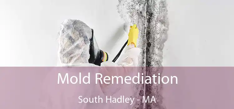 Mold Remediation South Hadley - MA