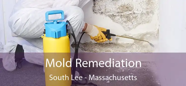 Mold Remediation South Lee - Massachusetts