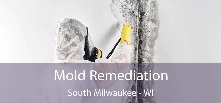 Mold Remediation South Milwaukee - WI