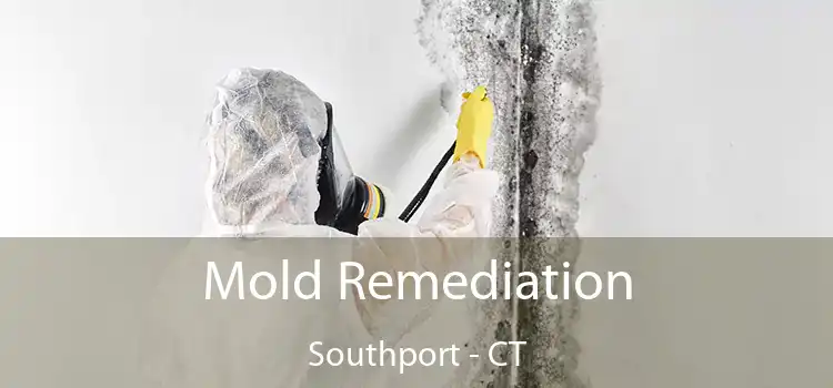 Mold Remediation Southport - CT