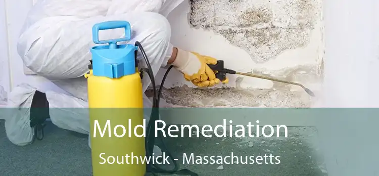 Mold Remediation Southwick - Massachusetts