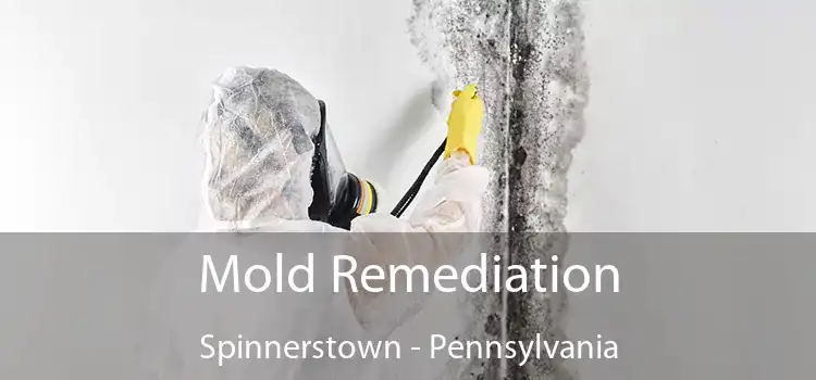 Mold Remediation Spinnerstown - Pennsylvania