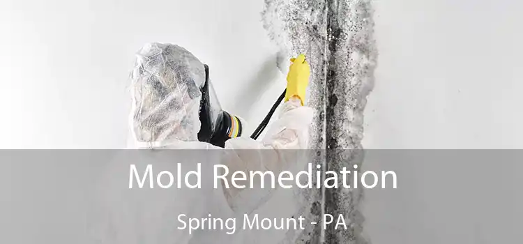 Mold Remediation Spring Mount - PA