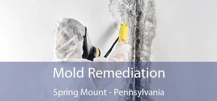 Mold Remediation Spring Mount - Pennsylvania