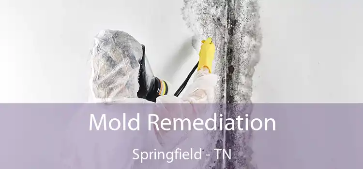 Mold Remediation Springfield - TN