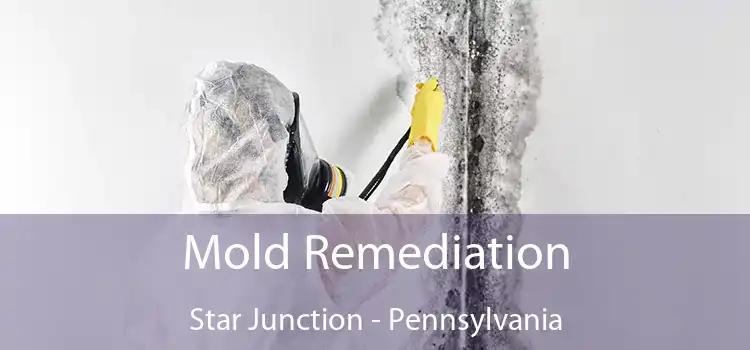 Mold Remediation Star Junction - Pennsylvania