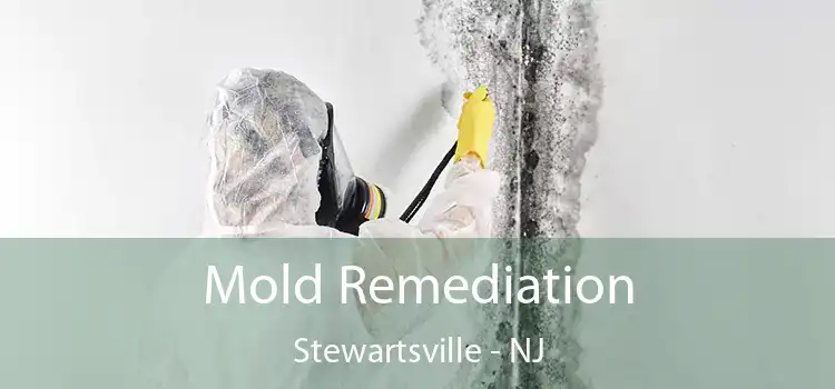 Mold Remediation Stewartsville - NJ