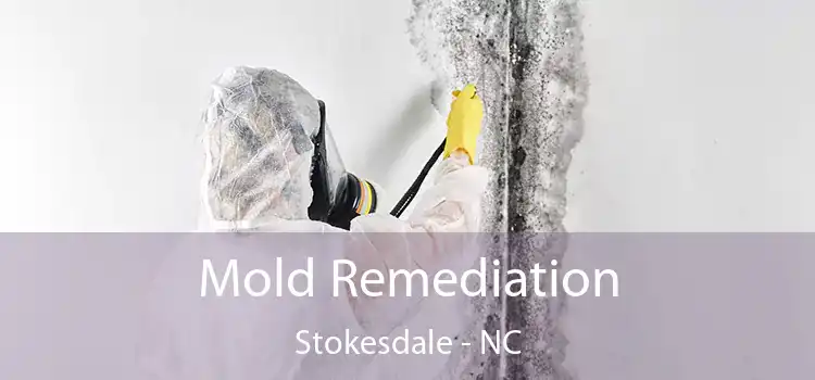 Mold Remediation Stokesdale - NC