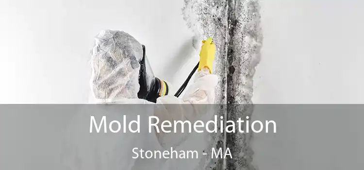 Mold Remediation Stoneham - MA