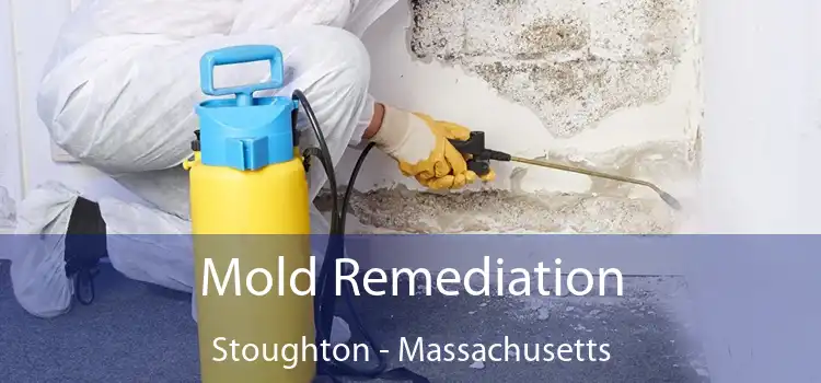 Mold Remediation Stoughton - Massachusetts