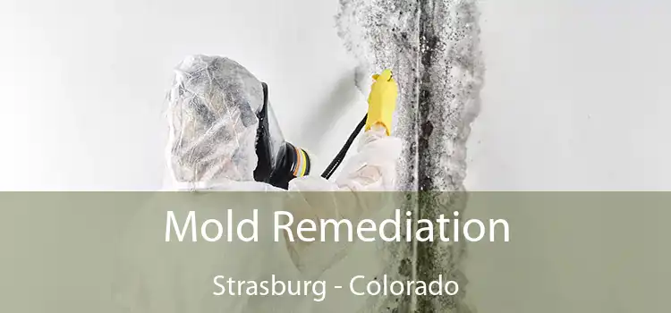 Mold Remediation Strasburg - Colorado