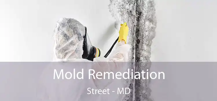 Mold Remediation Street - MD