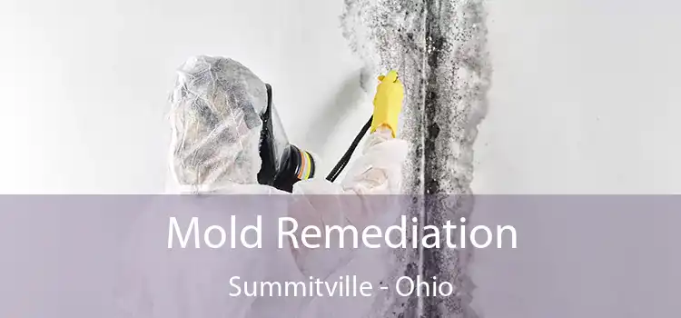 Mold Remediation Summitville - Ohio