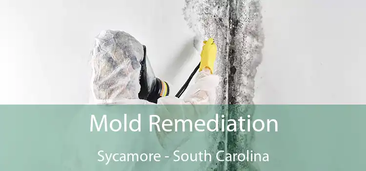 Mold Remediation Sycamore - South Carolina