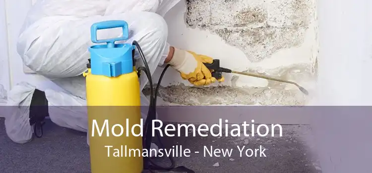 Mold Remediation Tallmansville - New York