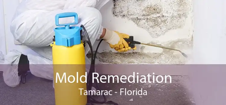 Mold Remediation Tamarac - Florida