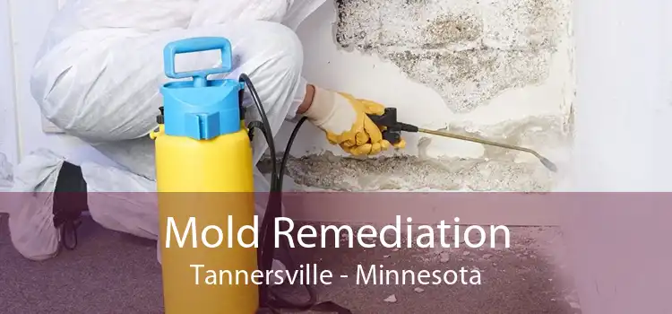 Mold Remediation Tannersville - Minnesota