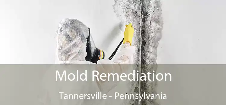 Mold Remediation Tannersville - Pennsylvania