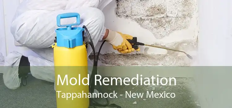Mold Remediation Tappahannock - New Mexico