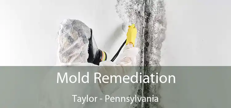 Mold Remediation Taylor - Pennsylvania