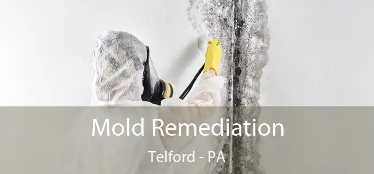 Mold Remediation Telford - PA