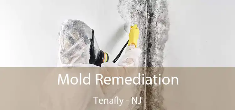 Mold Remediation Tenafly - NJ