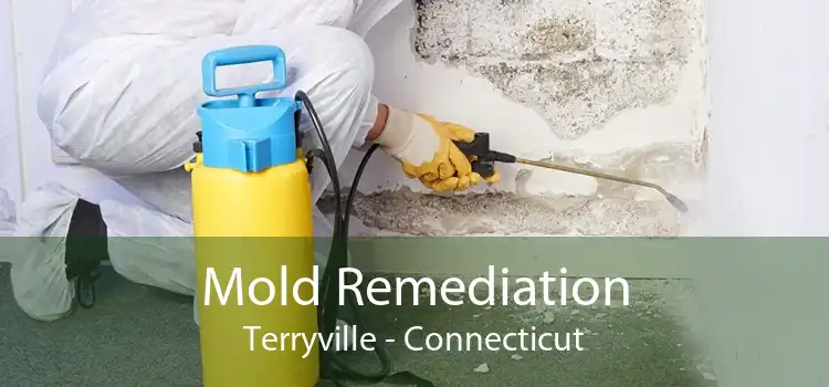 Mold Remediation Terryville - Connecticut