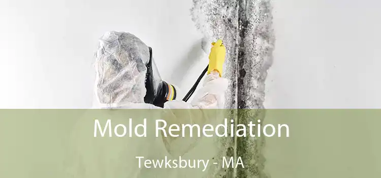 Mold Remediation Tewksbury - MA