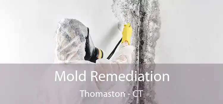 Mold Remediation Thomaston - CT