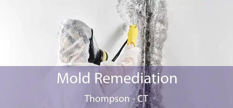 Mold Remediation Thompson - CT