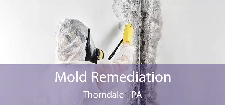 Mold Remediation Thorndale - PA