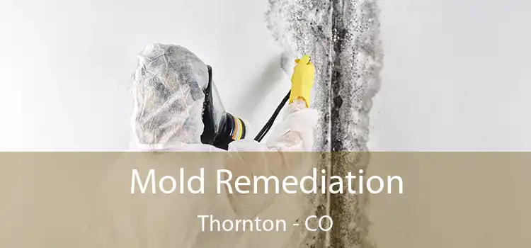 Mold Remediation Thornton - CO