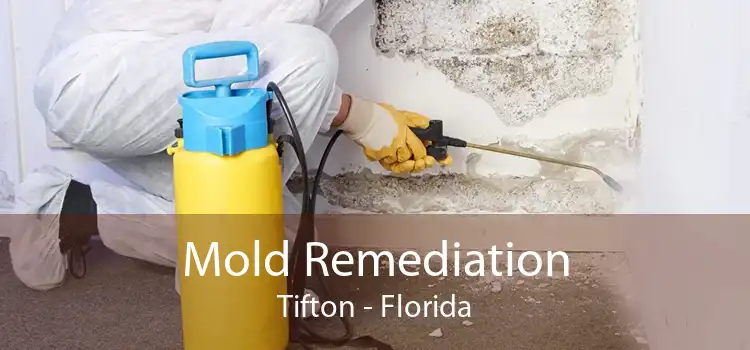 Mold Remediation Tifton - Florida