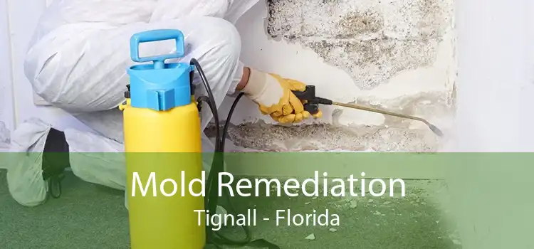 Mold Remediation Tignall - Florida