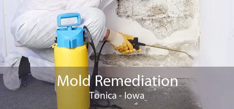 Mold Remediation Tonica - Iowa