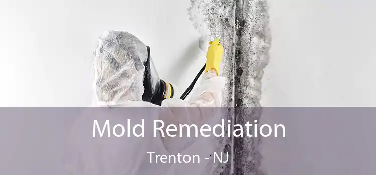 Mold Remediation Trenton - NJ