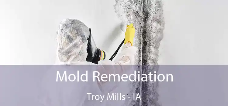 Mold Remediation Troy Mills - IA