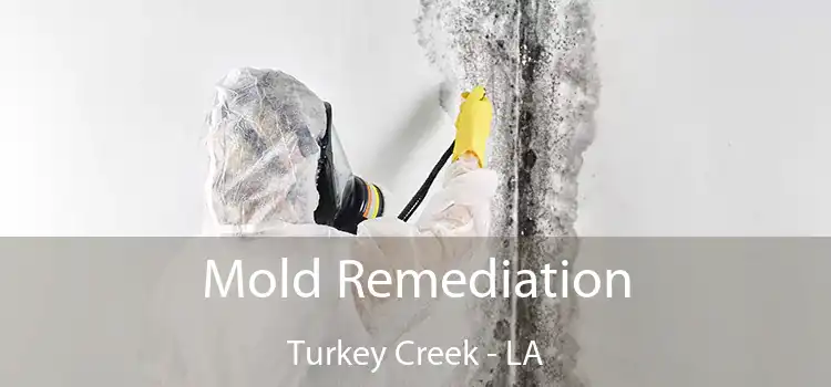 Mold Remediation Turkey Creek - LA