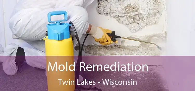 Mold Remediation Twin Lakes - Wisconsin