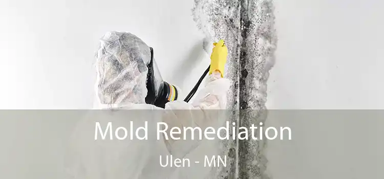 Mold Remediation Ulen - MN