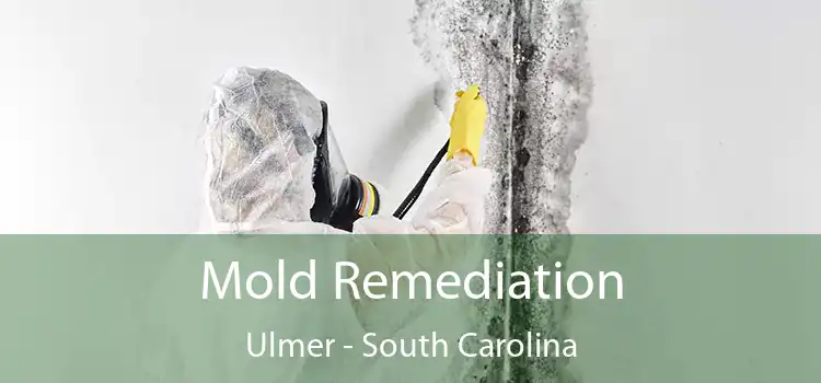 Mold Remediation Ulmer - South Carolina