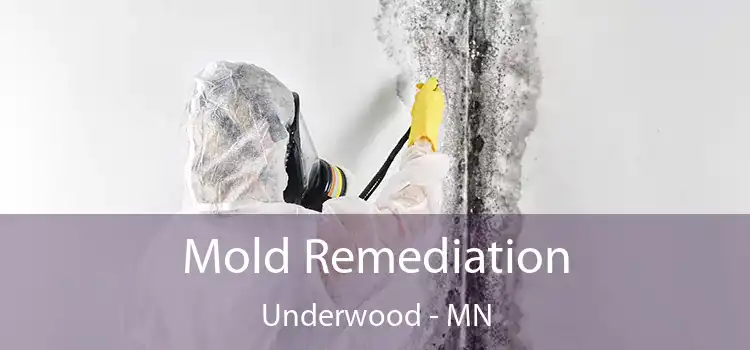 Mold Remediation Underwood - MN