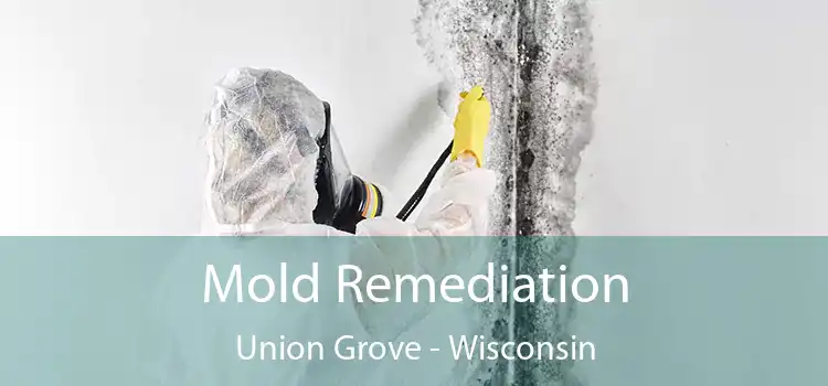 Mold Remediation Union Grove - Wisconsin