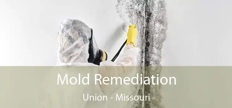 Mold Remediation Union - Missouri