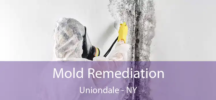 Mold Remediation Uniondale - NY