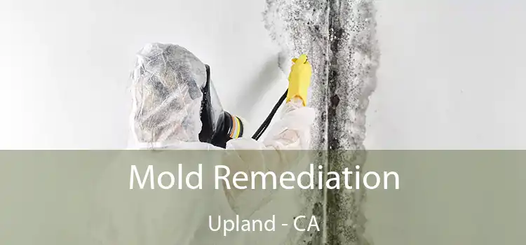 Mold Remediation Upland - CA