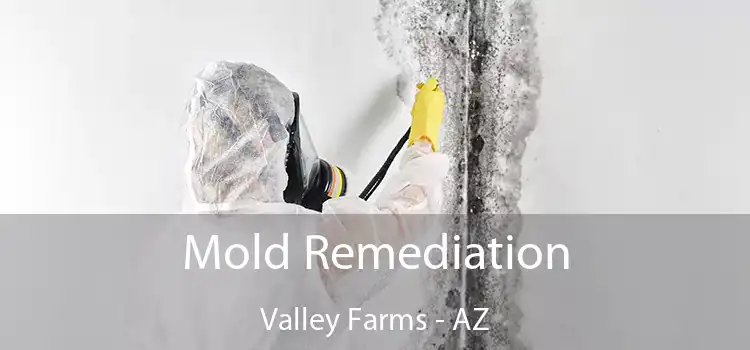 Mold Remediation Valley Farms - AZ