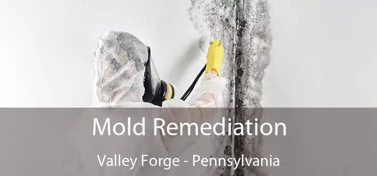 Mold Remediation Valley Forge - Pennsylvania