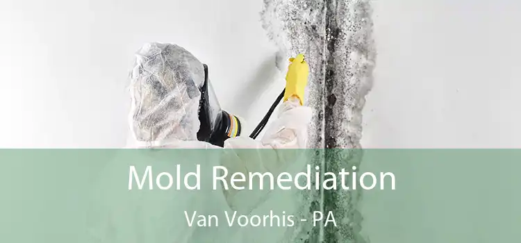 Mold Remediation Van Voorhis - PA