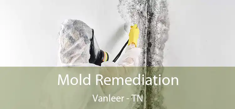 Mold Remediation Vanleer - TN